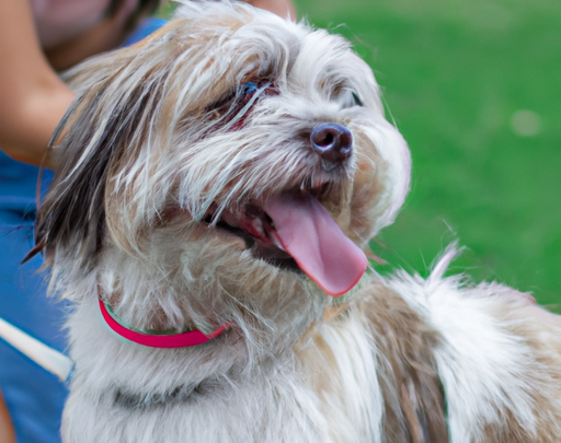 Beneficios de tener Mascota que mejoran tu salud