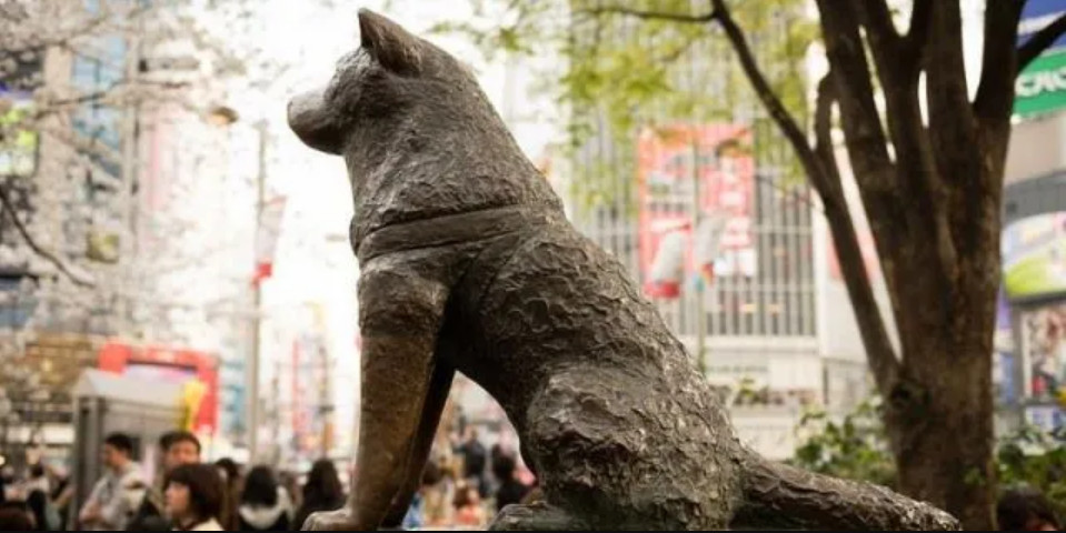 La lealtad de Hachiko: Una historia de amor eterno