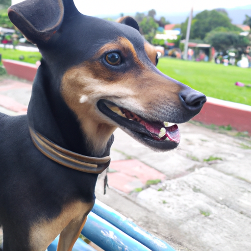 ¿Cómo se llama el líder de los perritos?