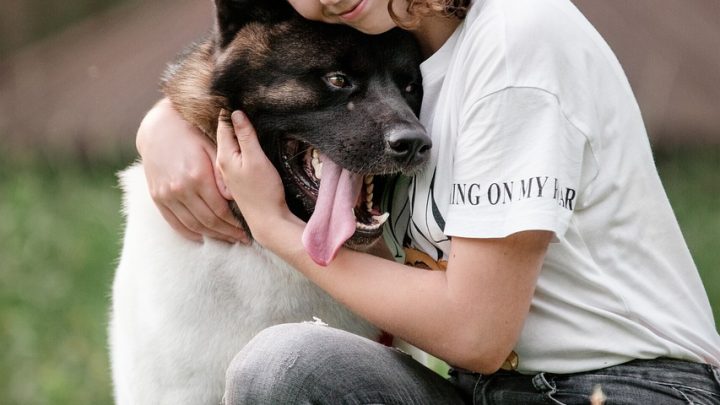 ¿Qué animal es mejor amigo de la mujer?