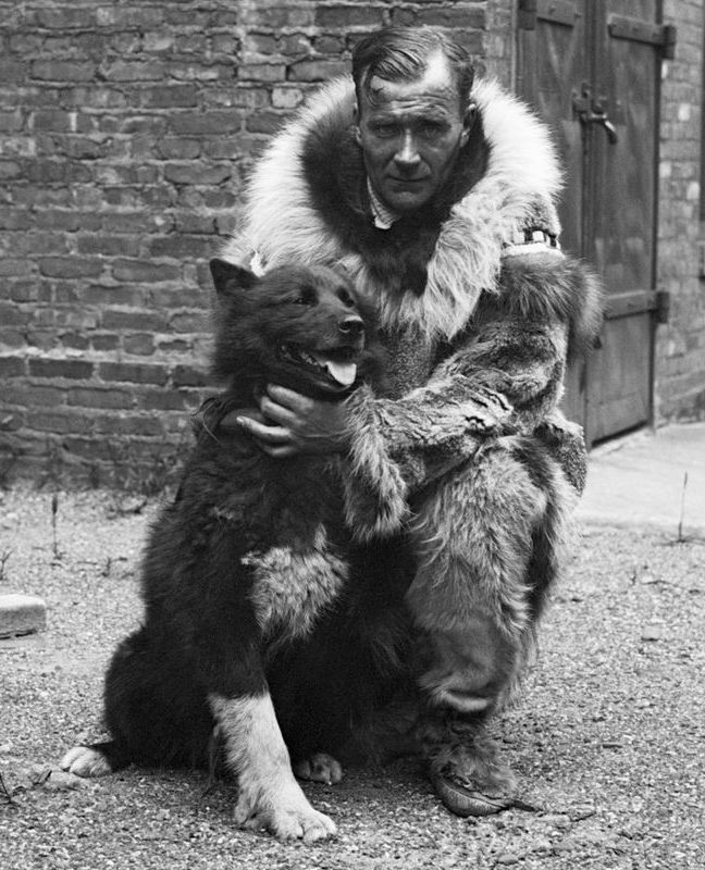 Balto, perro de trineo, Alaska, equipo de perros, carrera de trineos, Leonhard Seppala, musher, epidemia de difteria, trineo, héroes de la historia