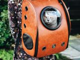 woman carrying pet carrier while standing near green plant