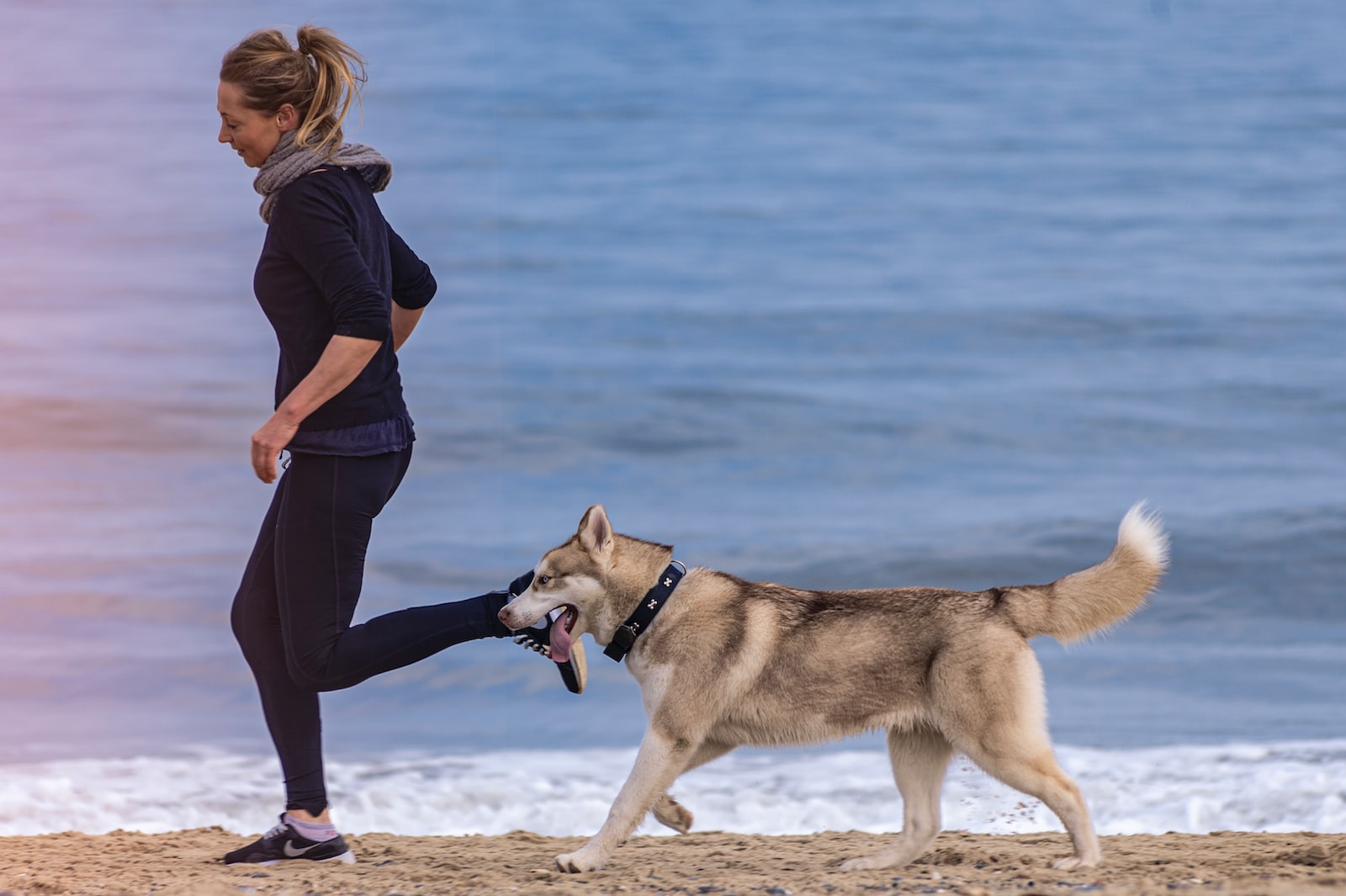 Ejercicios para tu perro: mantenerlo saludable y feliz