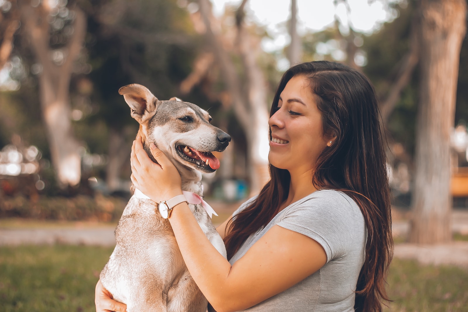 La importancia de la socialización para tu perro