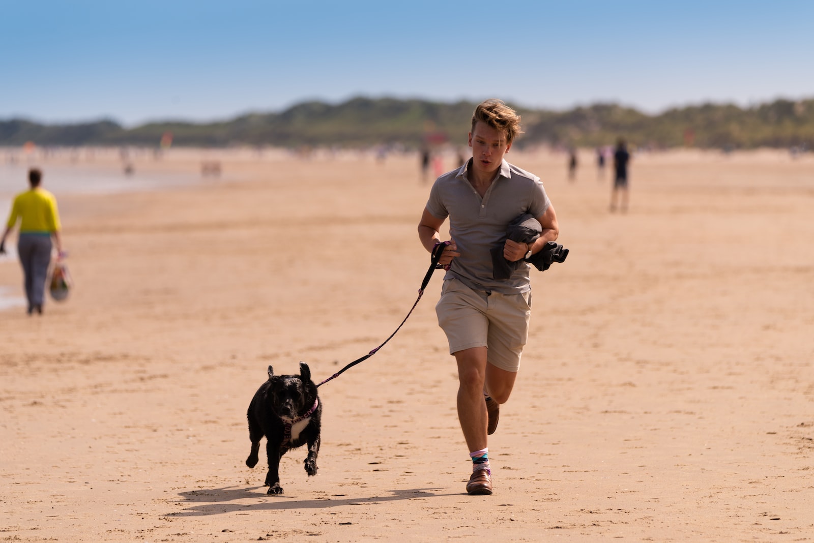 Los mejores consejos para entrenar a un cachorro