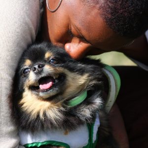 ¿Por qué los perros se apegan a una persona?