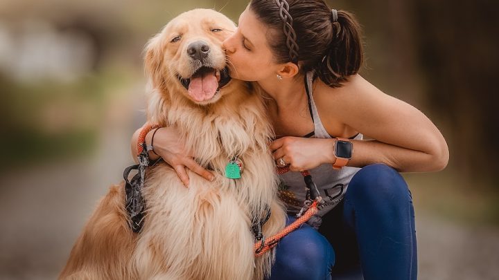 Lo esencial sobre perros: consejos para dueños