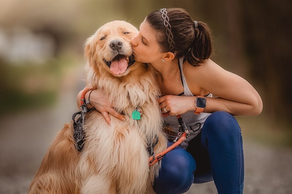 Lo esencial sobre perros: consejos para dueños