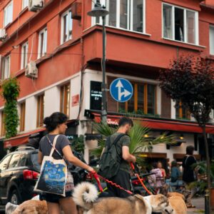 Cómo pasear en la calle con varias mascotas