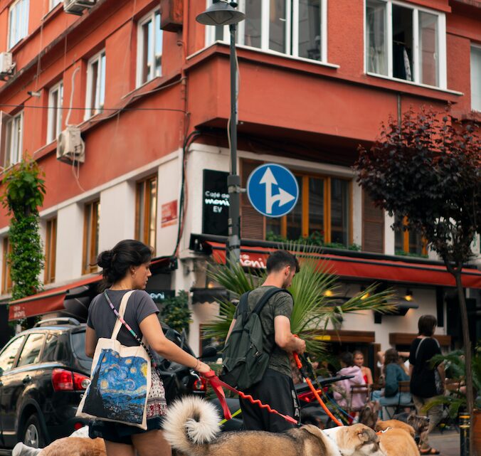 Cómo pasear en la calle con varias mascotas